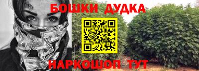 дурь Сланцы