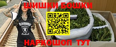 дурь Сланцы