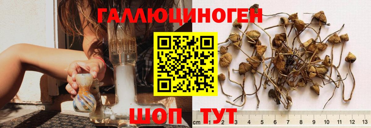 Галлюциногенные грибы Magic Shrooms  Вход с VPN  Свободный 